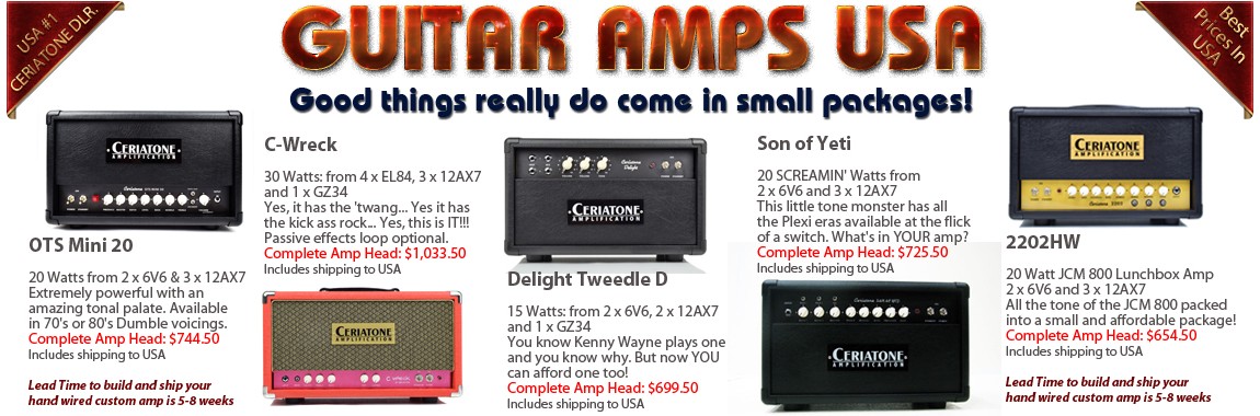 Guitar Amps USA